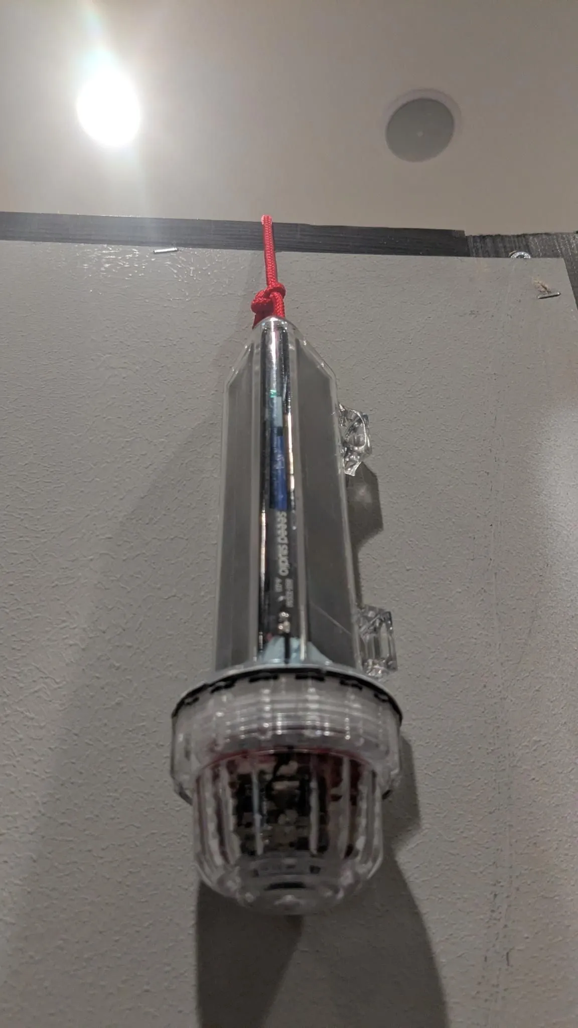 1000008738.jpg